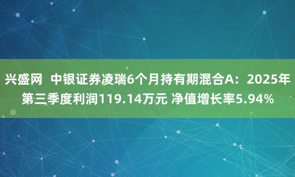 兴盛网  中银证券凌瑞6个月持有期混合A：2025年第三季度利润119.14万元 净值增长率5.94%