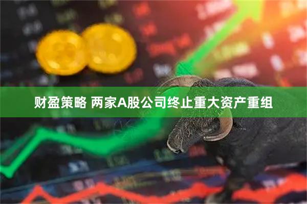 财盈策略 两家A股公司终止重大资产重组